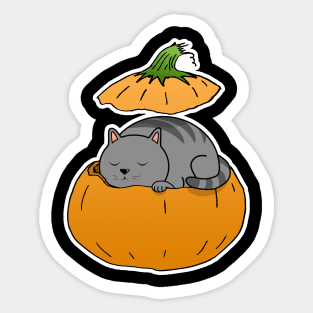 Pumpkin Cat Sticker